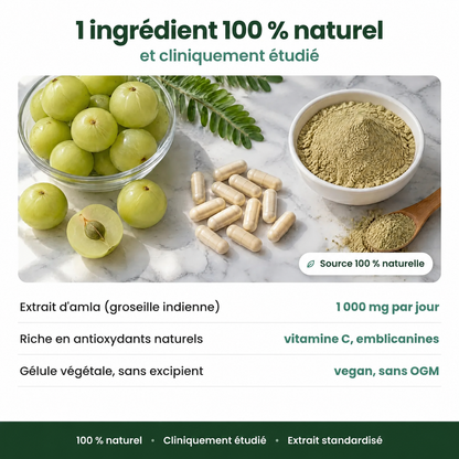 Gélules d'Amla Superfruit